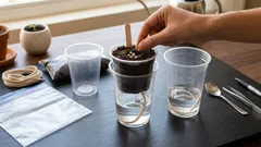 Come far crescere le piantine di peperone due volte più velocemente: un metodo avanzato che non tutti conoscono