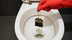 Rimarrete sorpresi, ma anche un trucco domestico così divertente può funzionare davvero