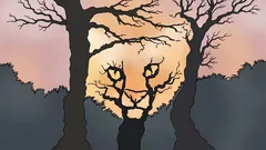 Cosa vedete in questa immagine? Si tratta di un test psicologico che rivela come percepite il mondo.